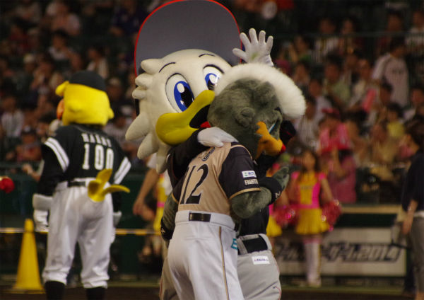 IMGP7587_2014082523204392f.jpg