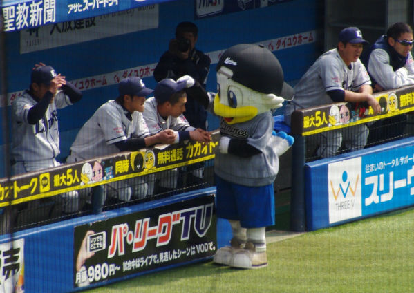 IMGP2799