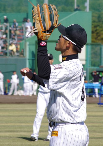IMGP3133.jpg
