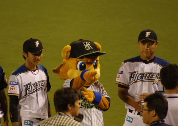 IMGP5069_201408171923039b4.jpg