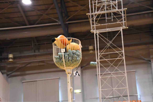 2019 大阪金岡 ヴァンキーカップ