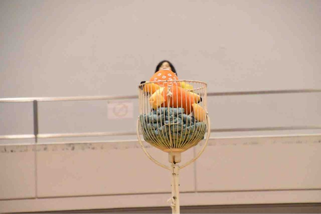 2019 大阪金岡 ヴァンキーカップ