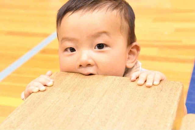 2019 大阪金岡 ヴァンキーカップ