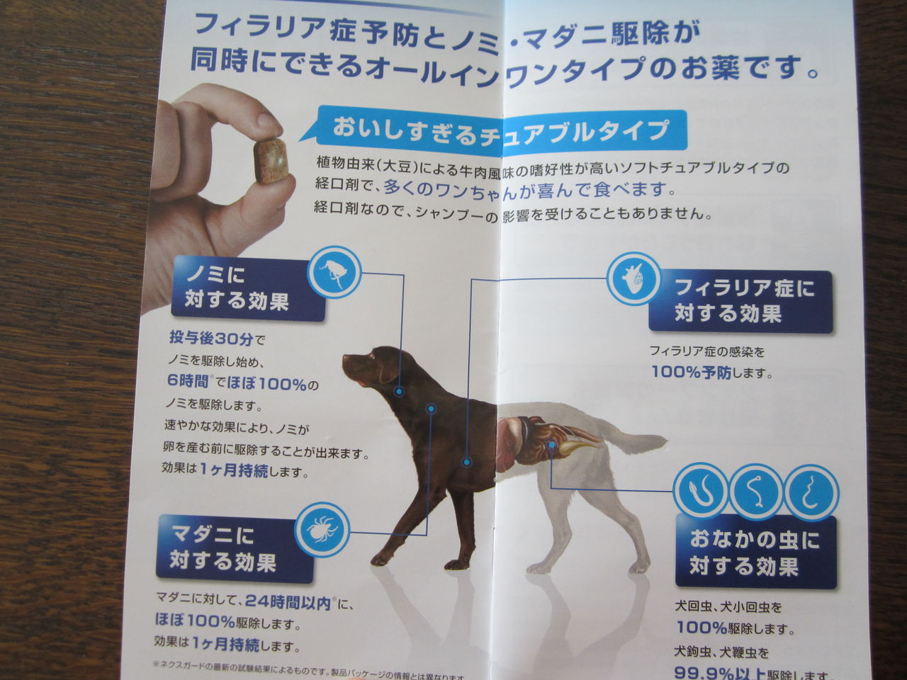 トイプードル クッキーのフィラリア予防とノミダニ予防 5月 気ままな毎日 花とトイプードルに囲まれた生活 トイプードル クッキーのフィラリア予防とノミダニ予防 5月 気ままな毎日 花とトイプードルに囲まれた生活
