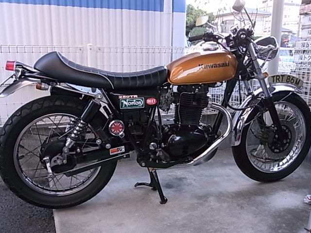 RIMG0113