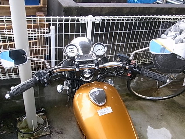 RIMG0031