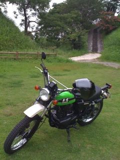 250Tr ライムグリーン