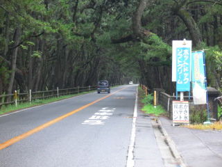 P1010294