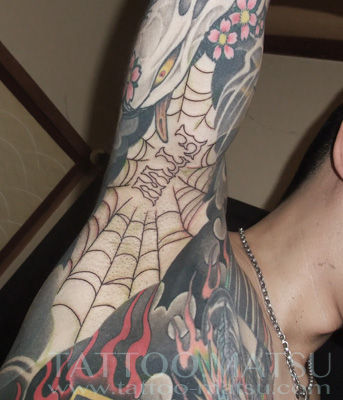 イシス トライバル 桜 蜘蛛の巣 Tattoo Matsu Blog イシス トライバル 桜 蜘蛛の巣 Tattoo Matsu Blog