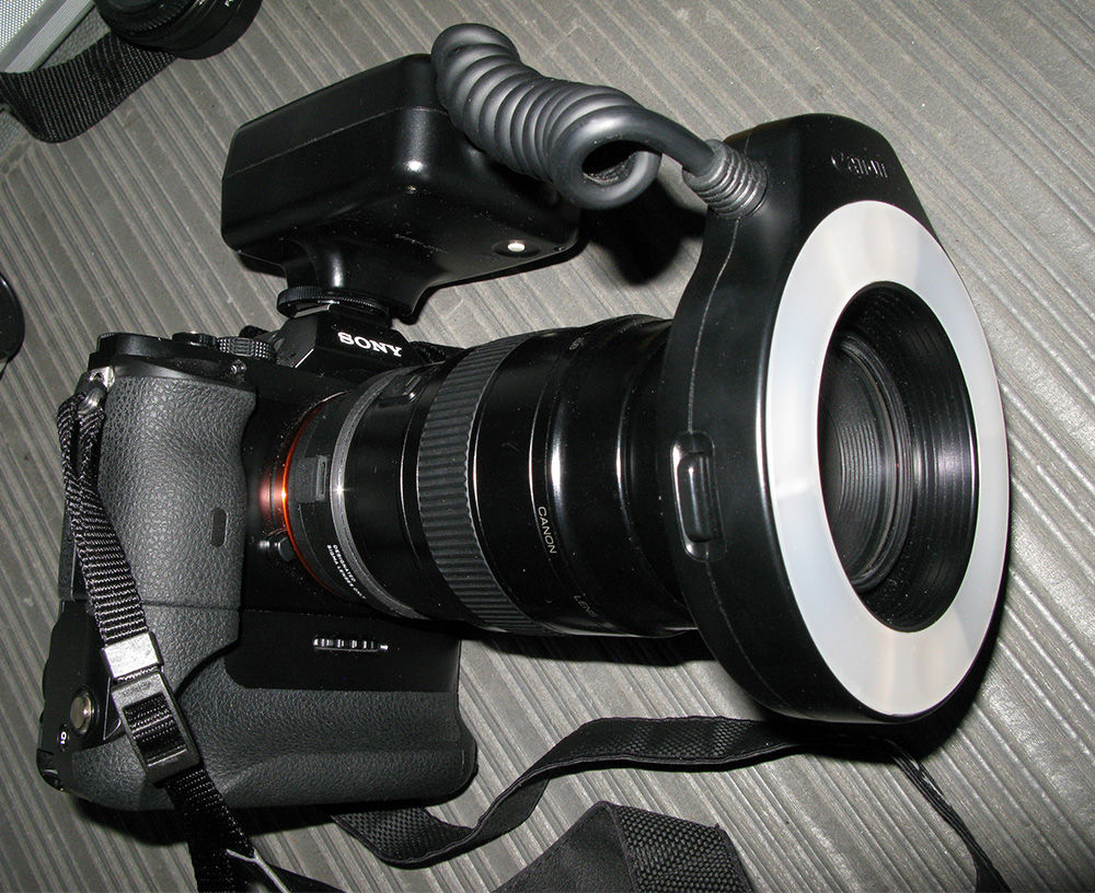 キャノンマクロリングライトML-3（完全新品）超超超逸品