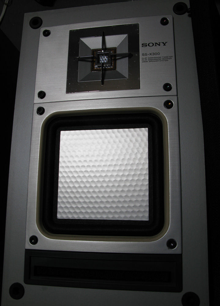 SONY SS-X300 : フラットバーロードで行こう！