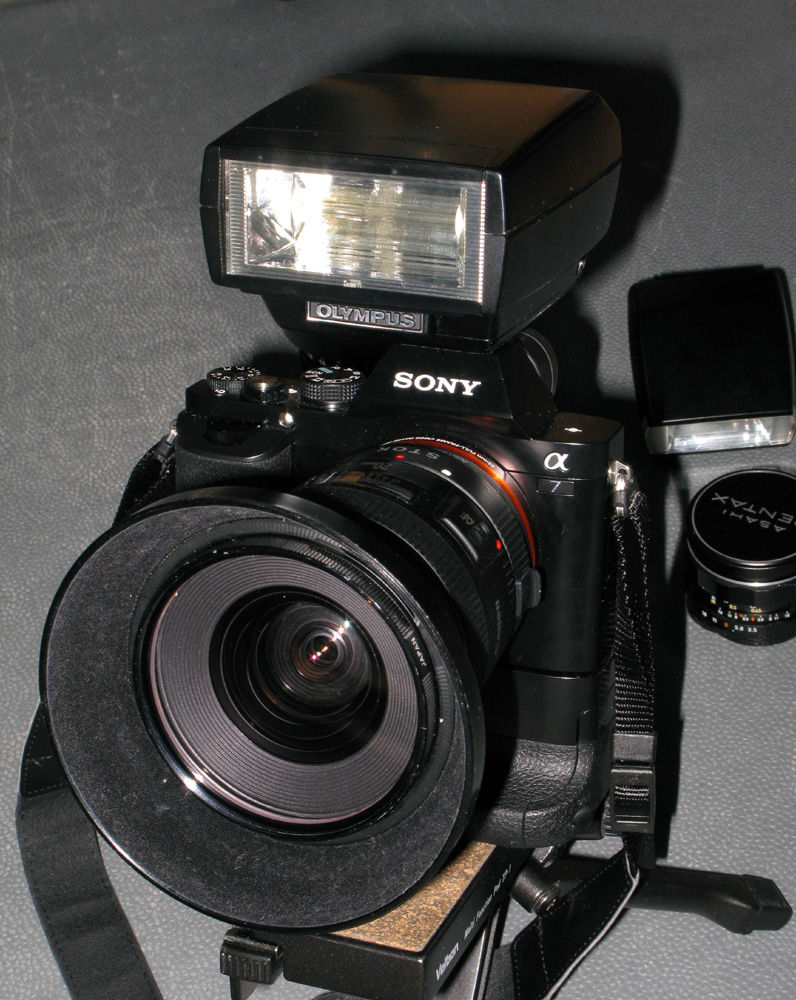 オリンパス　OM-1、ストロボT20、タムロン　動作未確認 オリンパス OM-1、ストロボT20、タムロン 動作未確認 オリンパス