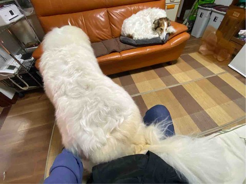 FullSizeRender
