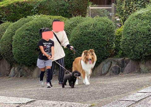 FullSizeRender