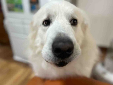 FullSizeRender