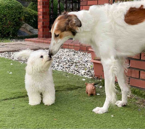 FullSizeRender