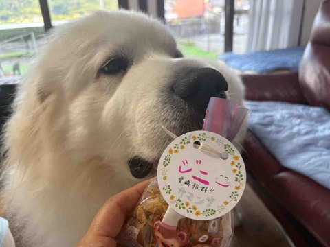 IMG_5293