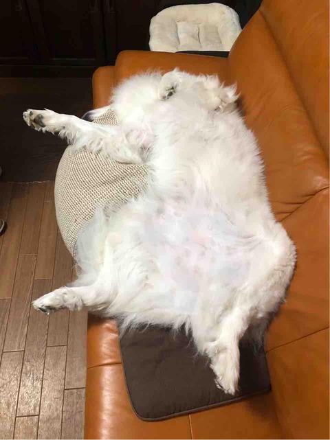 FullSizeRender