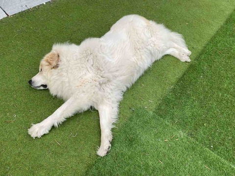 IMG_7501