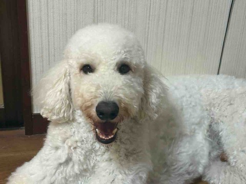 IMG_5838