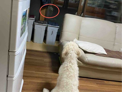 FullSizeRender