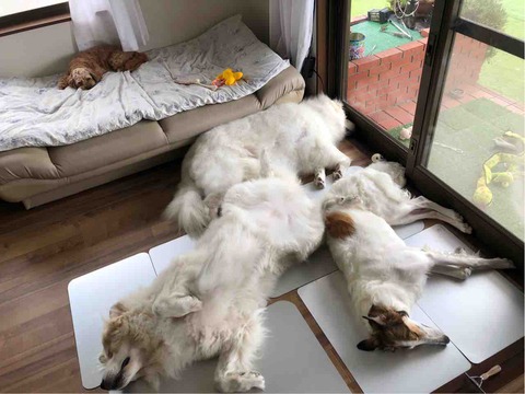 FullSizeRender