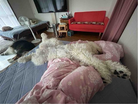 FullSizeRender