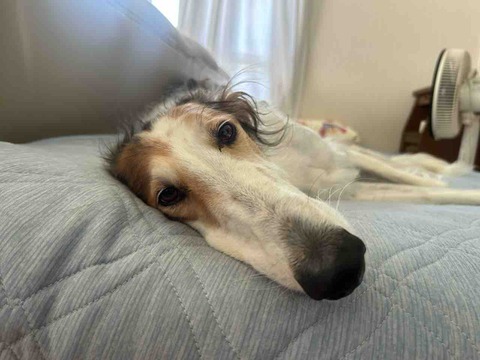 IMG_6989