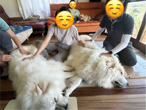FullSizeRender