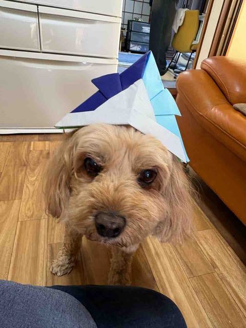 IMG_3233