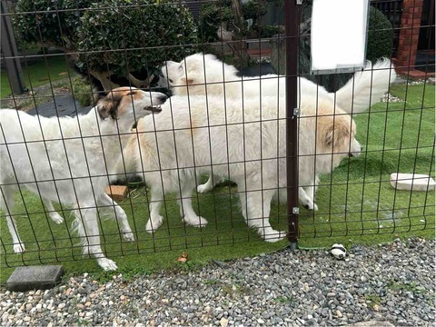 FullSizeRender