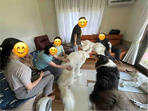 FullSizeRender