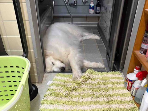 IMG_8192