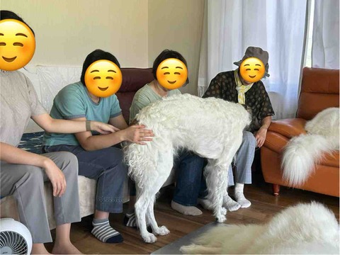 FullSizeRender