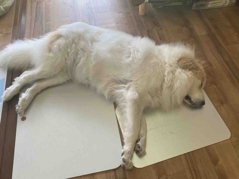 FullSizeRender