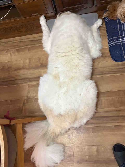 FullSizeRender