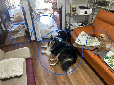 FullSizeRender