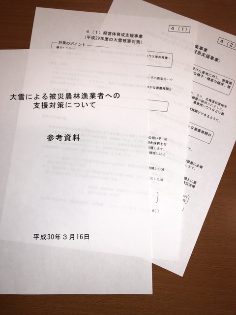 180316豪雪被害への支援決定01