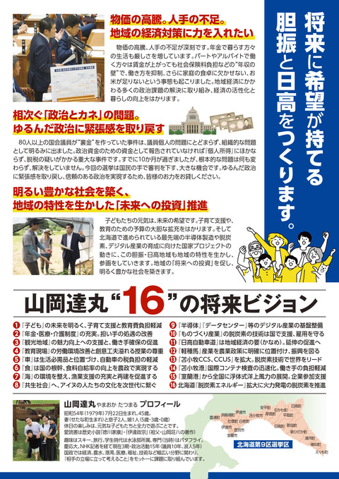 2024選挙法定ビラA4_最終_裏面