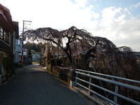 DSCN0353