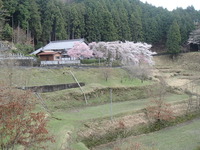 P4052703