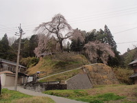 P4052745