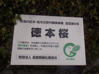 P4102932