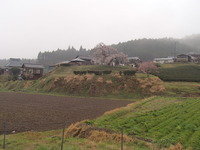 P4102910