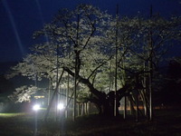 P4102990