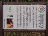 P4102956
