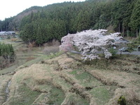 P4052697