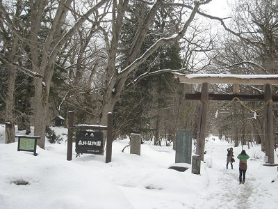 resize1731