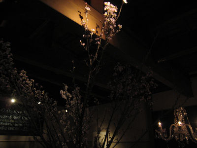 resize1655