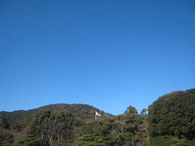 ccde9553.jpg